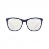 OKULARY RBS RED BULL FLY BLUE - SZKŁA SMOKE WITH SILVER MIRROR POL