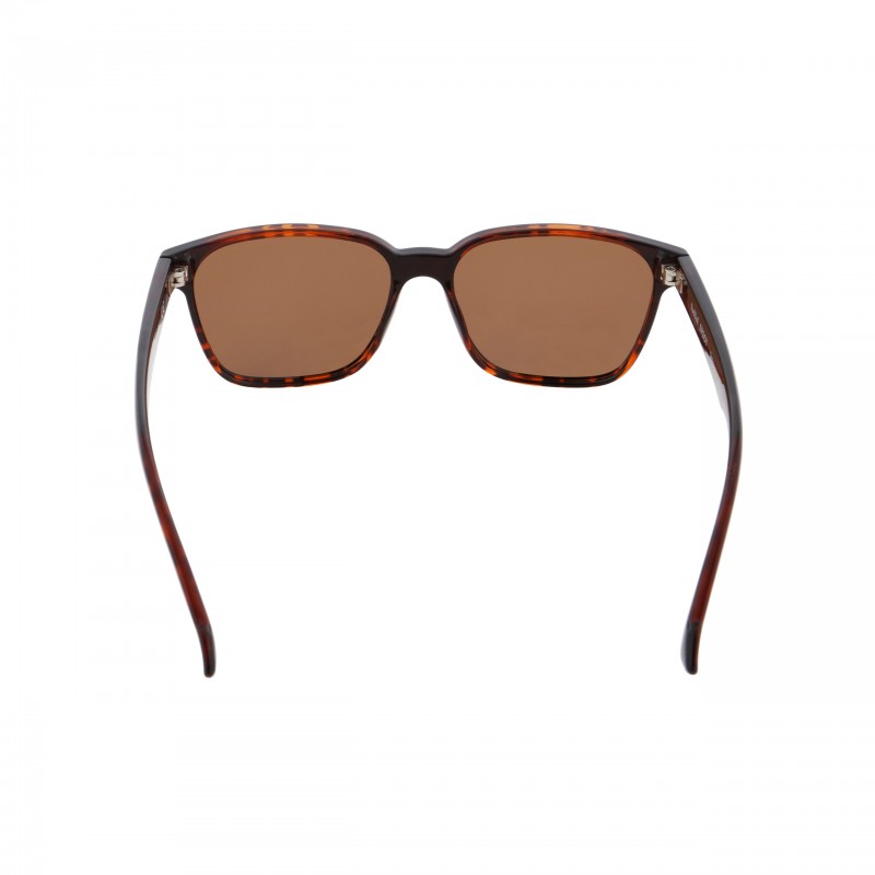 OKULARY RBS RED BULL CARY RX HAVANNA - SZKŁA BROWN