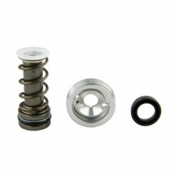 `` OVAL `` MASTERCYLINDER PISTON KIT
