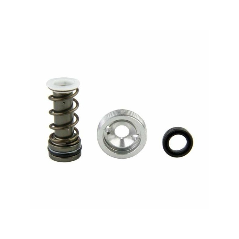 `` OVAL `` MASTERCYLINDER PISTON KIT
