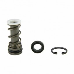 R1/TH1 Master Cylinder Piston Kit