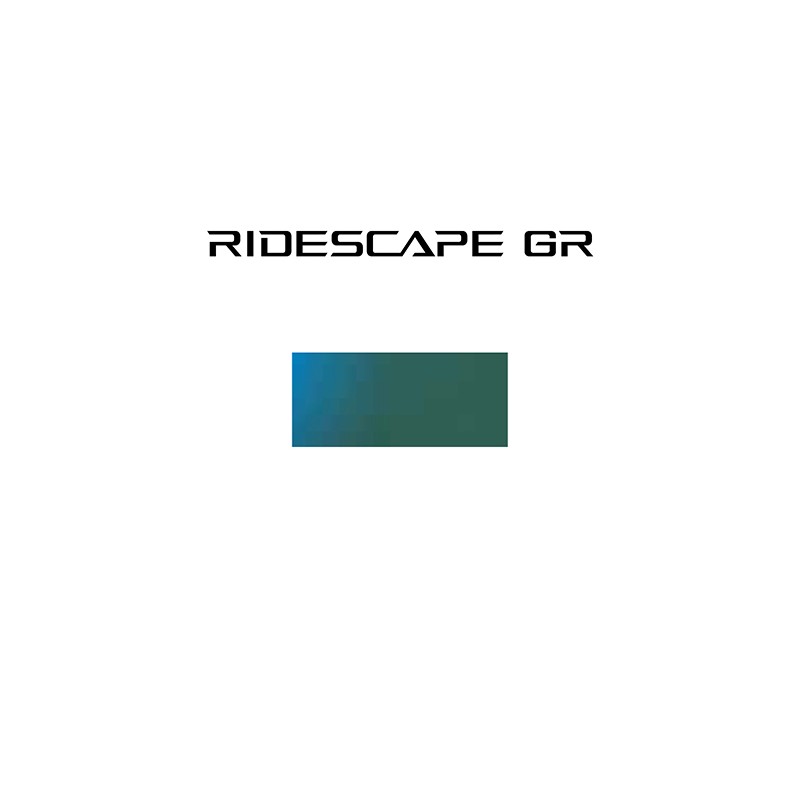 Okulary TCNM1GR Black w/ Ridescape Gravel