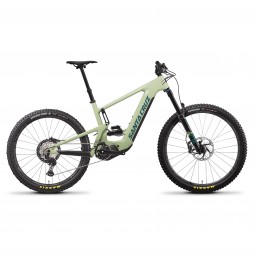 ROWER SANTA CRUZ HECKLER C MX XT GLOSS AVOCADO GREEN
