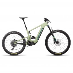ROWER SANTA CRUZ HECKLER C MX S GLOSS AVOCADO GREEN