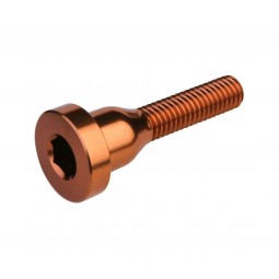 Burgtec śruba Top Cap ­  Kash Bronze