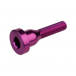 Burgtec śruba Top Cap ­ Purple Rain