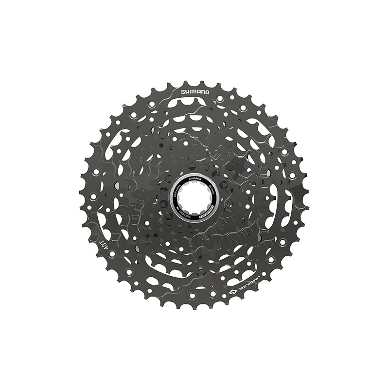 Kaseta 10rz 11-43 CS-LG400-10 Linkglide