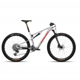 ROWER SANTA CRUZ BLUR 4 CC 29 24 X0 AXS RSV MATTE SILVER