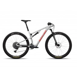 ROWER SANTA CRUZ BLUR 4 C 29 24 S MATTE SILVER