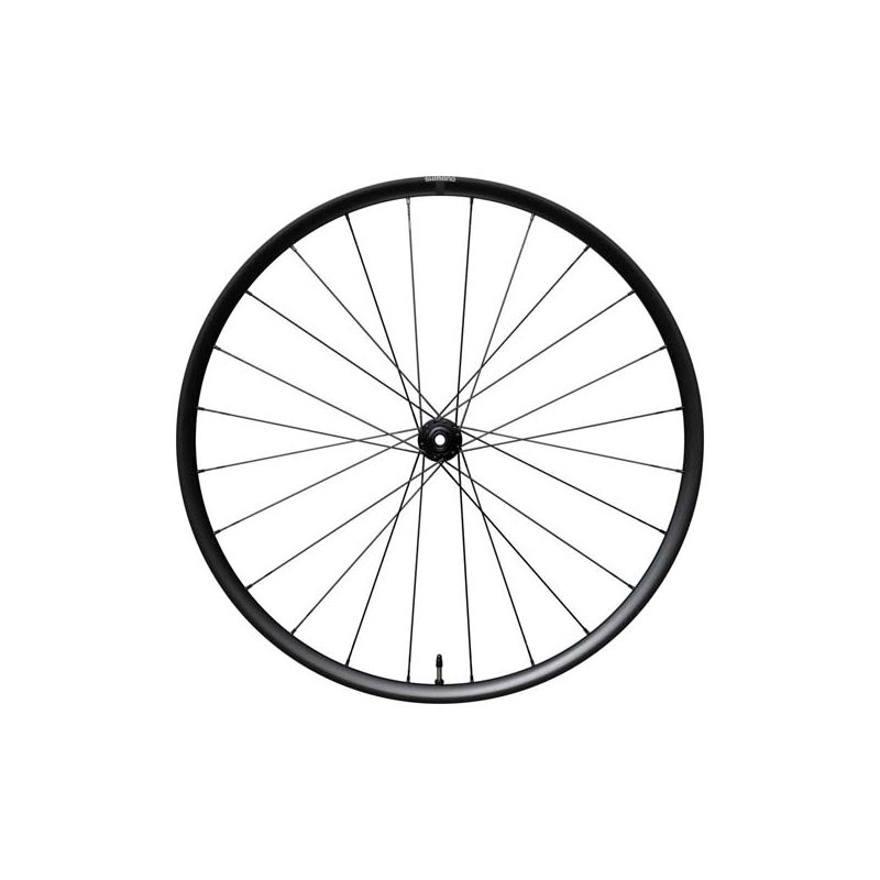 Koło Przód Rx180 Tubeless 100X12