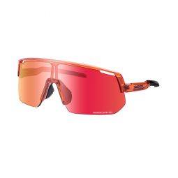 Okulary Ce-Tcnl2Ar Bronze Gold